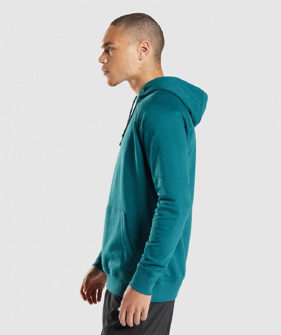 Sudadera Con Capucha Gymshark Sharkhead Infill Hombre Turquesa | CO 3618JPQ